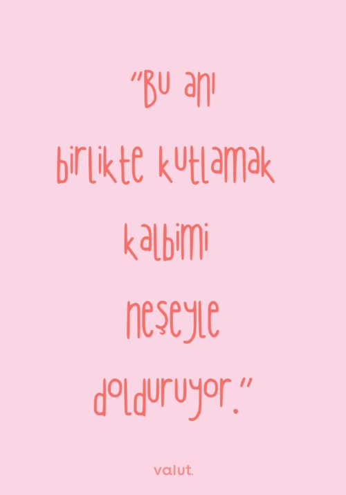 Selebro Dekoratif Yastık - Görsel 9